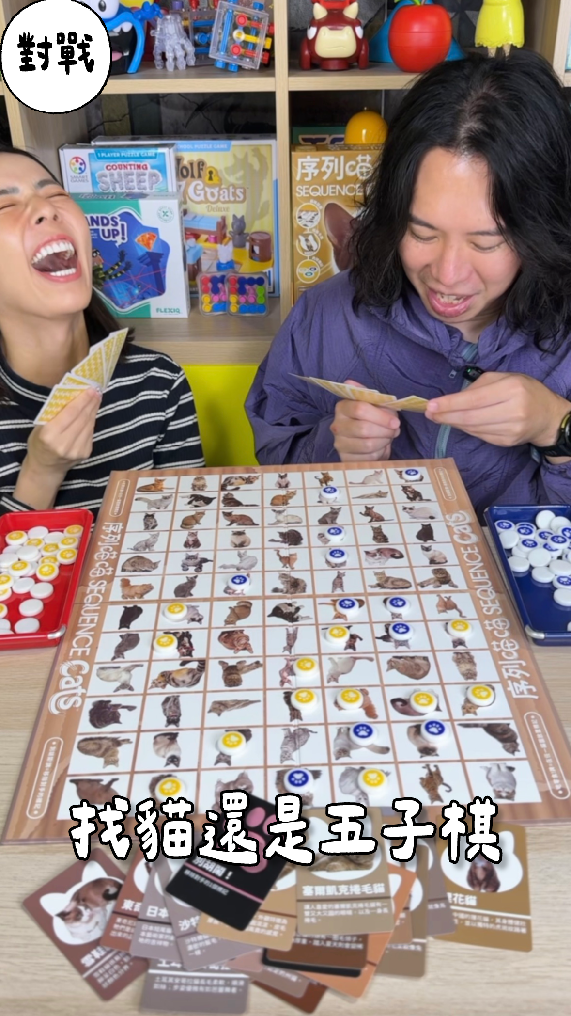 找貓還是五子棋＼序列喵喵／