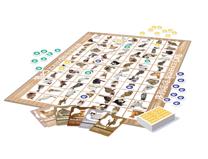 找貓還是五子棋＼序列喵喵／